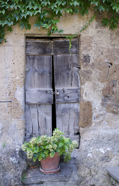 Oude droge deur op stenen muur met groene planten  - Foto, afbeelding