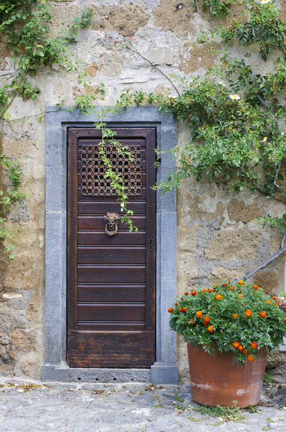 Yeşil bitkiler ile eski taş duvarda ahşap kapı  - Fotoğraf, Görsel
