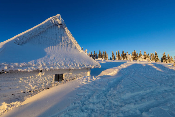 Alınan güzellikler Lehçe dağlar Beskidy Rysianka giderken karlı kış aylarında. Doğa yürüyüşü sırasında yakalanan manzara. - Fotoğraf, Görsel