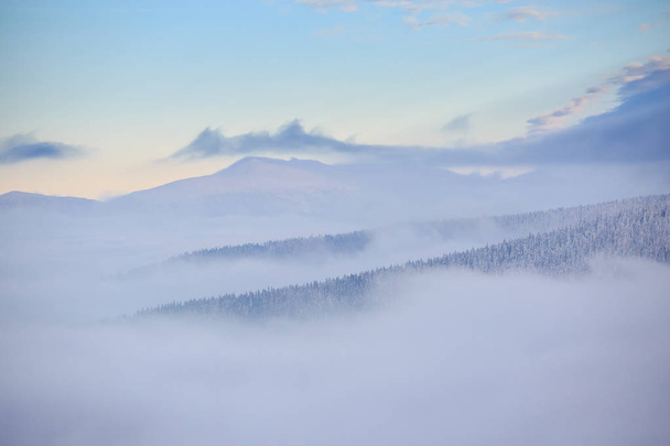 Krásné panorama v polské hory Beskydy na cestě do Rysianka během zasněžené zimy. Krajina zachycena během túry v Pitiusas. - Fotografie, Obrázek