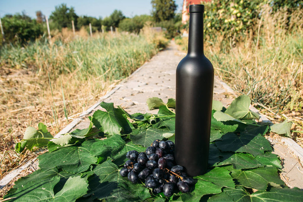 黒のボトルは横に、緑、ブドウの葉、上に立っている黒ブドウの束です。村の道路。背面の庭と家が見られます。田舎のぶどう畑。自然な生産。家ワイン. - 写真・画像