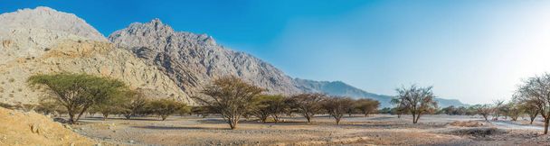 Vue panoramique du terrain montagneux du désert avec une vallée verdoyante, RAK, Émirats arabes unis, juin.2018
 - Photo, image
