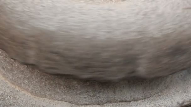 Close-up záběry ze středověké ruční pohon millstone mletí obilí. Starověké kámen kamenná ruka mlýn s obilím. Ten mele obilí na mouku s pomocí mlýnský. Pánské ruce na - Záběry, video