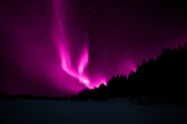 Northern lights of many shades of color Lapland - Photo, Image