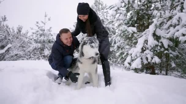 Portrait de famille de mignon couple heureux étreignant avec leur chien malamute de l'Alaska léchant le visage des hommes. Chiot drôle portant des bois de cerf de Noël Père Noël et embrassant femme. Liberté style de vie animaux amateurs
. - Séquence, vidéo