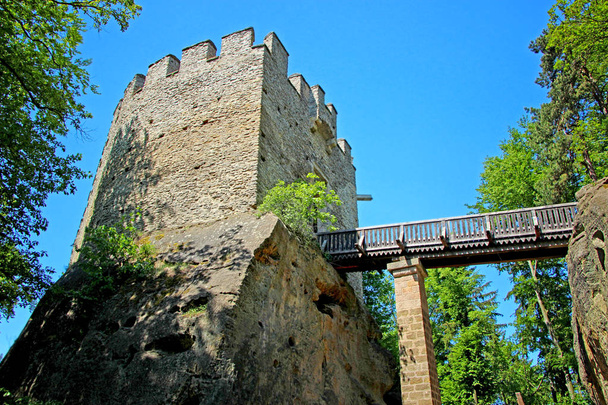 El castillo de piedra Kokorin permanecer en la colina. Hay bosque verde, torres de piedra y cielo azul. CHKO Kokorinko es un área protegida en la República Checa en Europa
. - Foto, imagen
