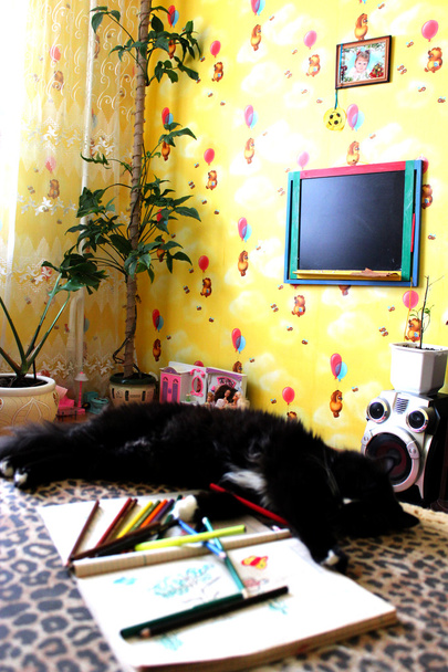 Nero gatto stanco sdraiato sul divano dopo aver disegnato
 - Foto, immagini