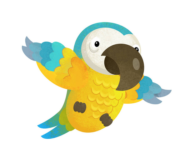 cartoon scene with happy parrot on white background - illustration for children - Foto, afbeelding