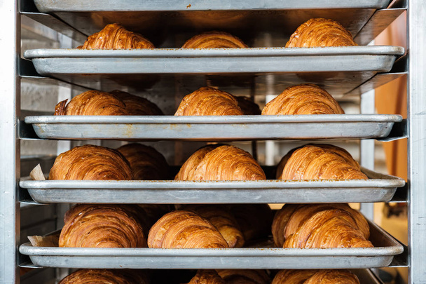 Trays of freshly baked croissants in a bakery. - Фото, изображение