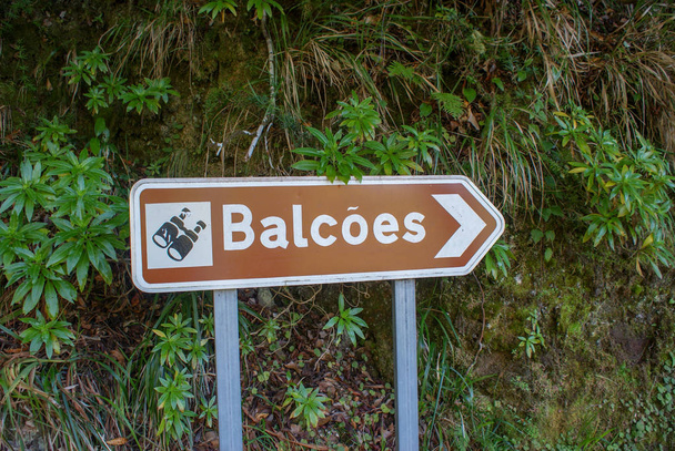 Vereda dos die balcoes door levada gaat, het is een gemakkelijke en mooie manier in Madeira waar u kon gaan zonder auto - Foto, afbeelding