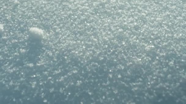 Macro close-up van sneeuw op zon - Video
