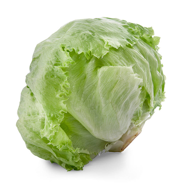 Green Iceberg lettuce on White Background  - Photo, Image