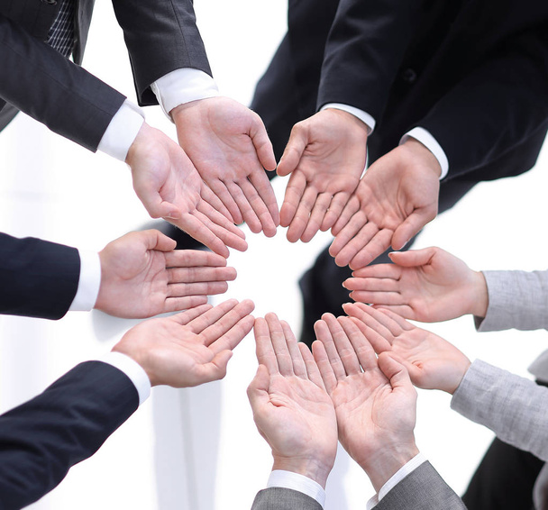 equipo de negocios mostrando las palmas abiertas
 - Foto, imagen