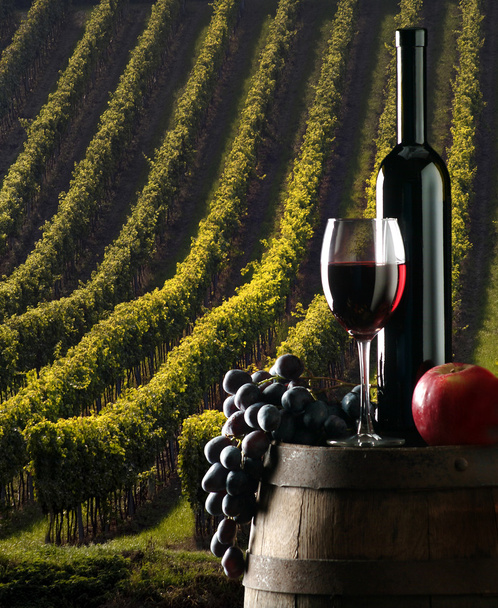 El vino de fondo con viñedo
 - Foto, Imagen