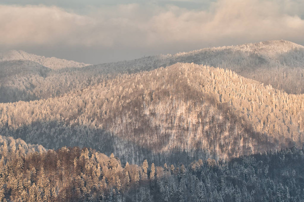 Forested mountain peaks covered with snow at sunrise. Bieszczady Mountains. Poland - Фото, зображення