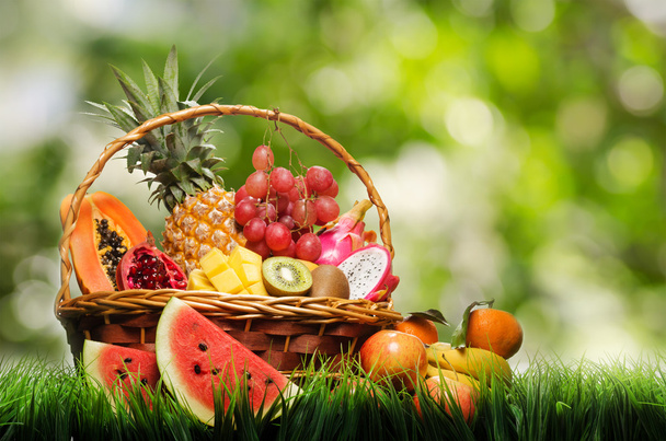 Basket of tropical fruits on green grass - Fotografie, Obrázek