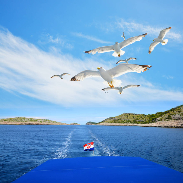 A flock of seagull flying behind a cruise ship in Kornati National Park, Croatia. - Φωτογραφία, εικόνα