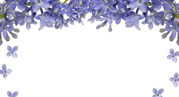 blauwe Lila bloem frame - Foto, afbeelding