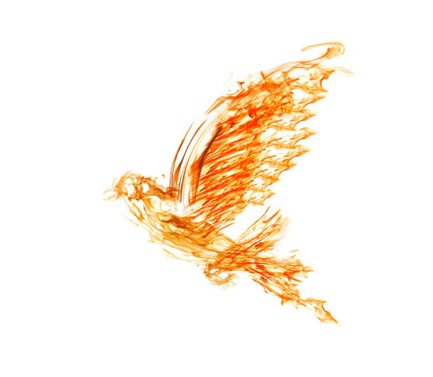 Láng fehér galamb repül - Fotó, kép