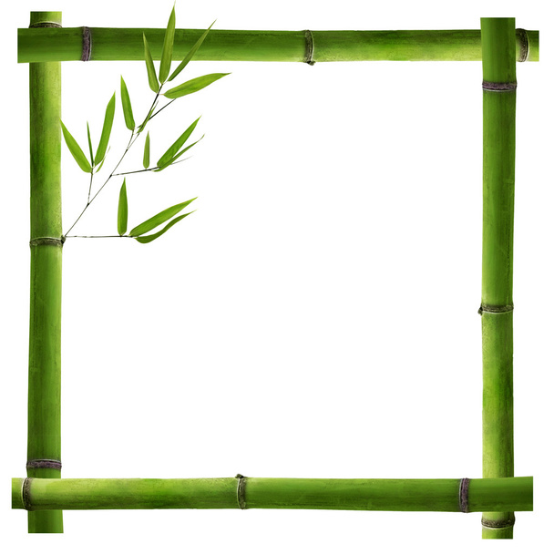 Beyaz yeşil bambu kaynaklanıyor gelen kare çerçeve - Fotoğraf, Görsel