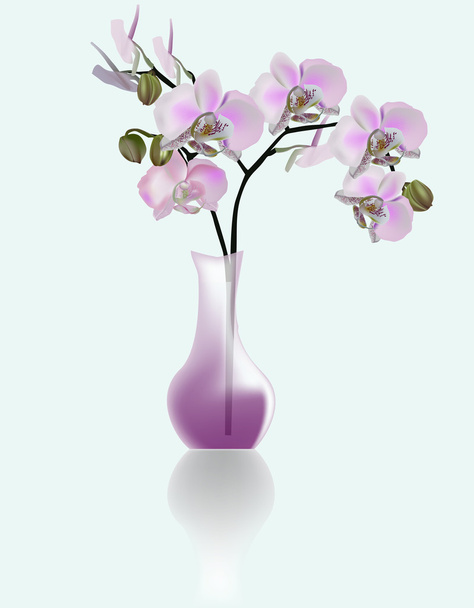 light pink orchids in vase - Vector, Image