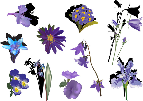 kolekcja kwiaty na białym tle kolor fioletowy - Wektor, obraz