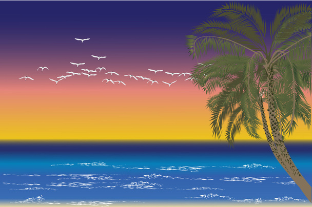 ο φοίνικας ανεμόμυλων και πουλιά στη θάλασσα ηλιοβασίλεμα - Διάνυσμα, εικόνα