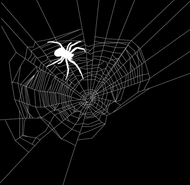 белый паук рядом с веб-центром
 - Вектор,изображение