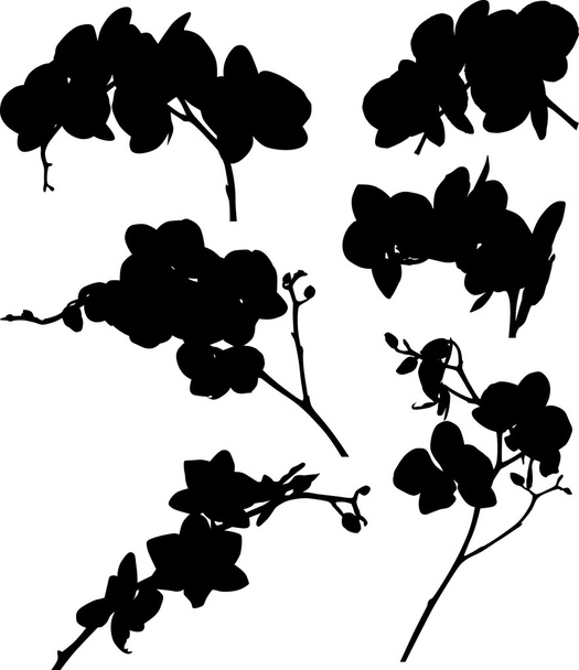 six orchid branches silhouettes set - Διάνυσμα, εικόνα