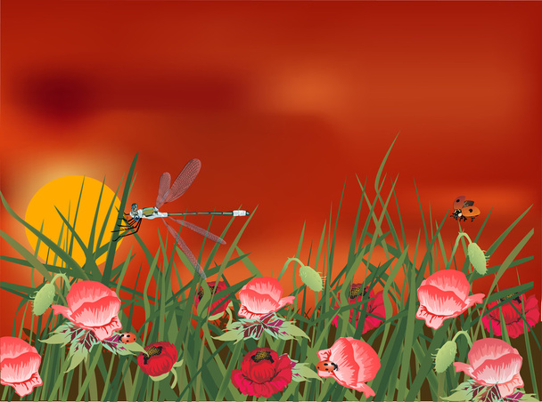 libélula en campo de amapola roja
 - Vector, imagen