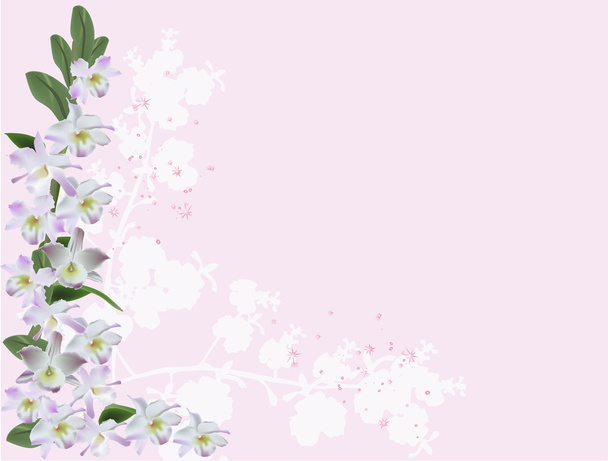 Угол светло-лиловых орхидей на розовом
 - Вектор,изображение