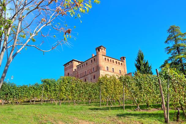 Medieval castle and vineyards in Piedmont, Italy. - Photo, Image