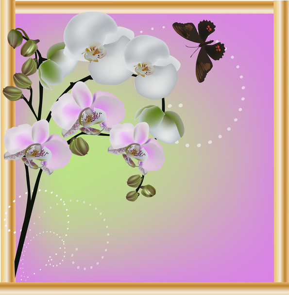 světle růžové květy orchidejí ve zlatém rámu - Vektor, obrázek