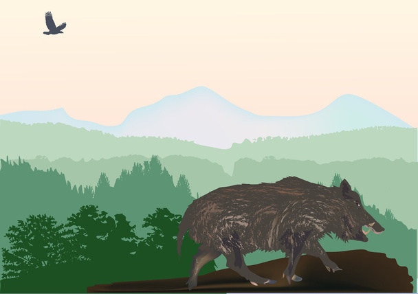 wild boar in forest illustration - Vector, Image