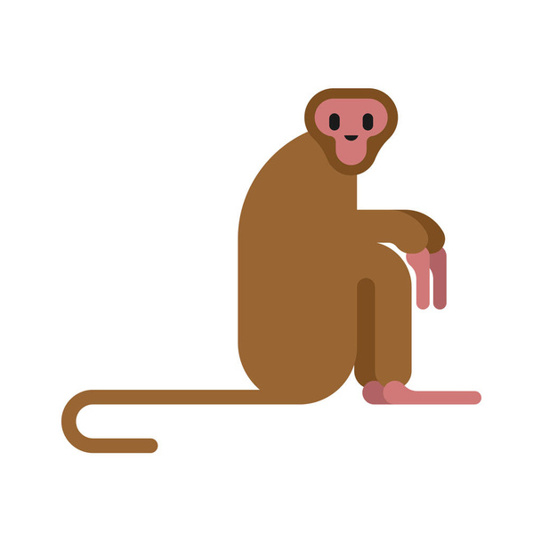 Макацька мавпа ізольована. Вектор дикої природи тварин
 - Вектор, зображення
