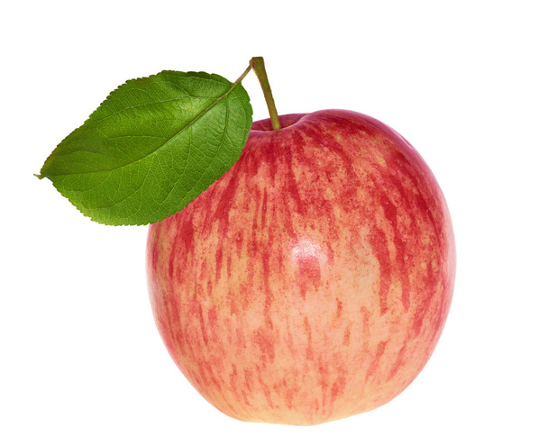 Manzana a rayas aislada con hoja
 - Foto, imagen