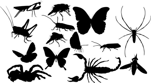 δεκατέσσερις μαύρο απομονωμένες έντομα - Διάνυσμα, εικόνα