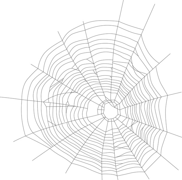 spider black web illustration - Vector, Image