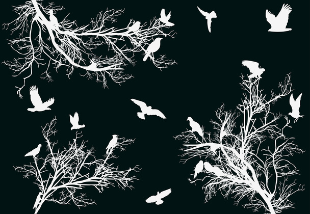 valkoiset puut ja linnut tummalla pohjalla
 - Vektori, kuva