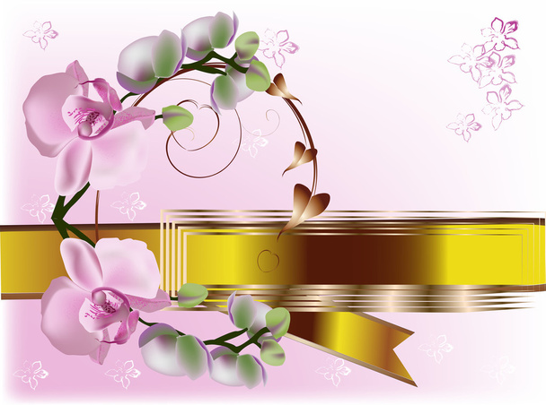 pink orchid flowers and gold ribbon - Vector, Image