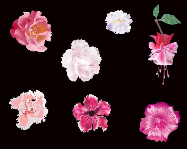 ensemble de fleurs roses isolées sur noir
 - Vecteur, image