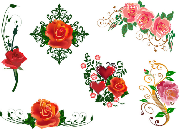 roses designes collection isolated on white - Vector, Image