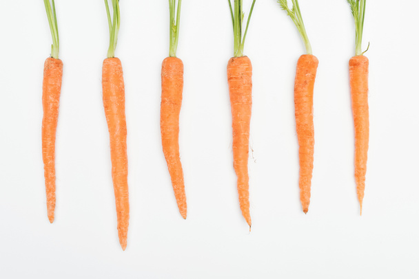 top view of fresh ripe raw carrots arranged in row isolated on white - Photo, Image
