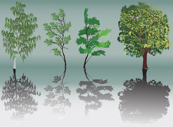 четыре зеленых дерева с отражениями
 - Вектор,изображение