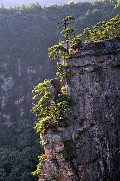 Τοπίο των βουνών Tianzi στο Zhangjiajie Εθνικό Δασικό Πάρκο στη Wulingyuan γραφική και ιστορική περιοχή ενδιαφέροντος στην πόλη Zhangjiajie, κεντρική επαρχία Χουνάν Chinas, 6 Ιουλίου 2012. - Φωτογραφία, εικόνα