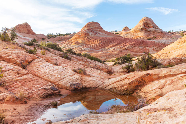 Formacje piaskowca w Utah, Usa. Piękne krajobrazy niezwykłe. Życia, Koral kolor tonowanie. - Zdjęcie, obraz