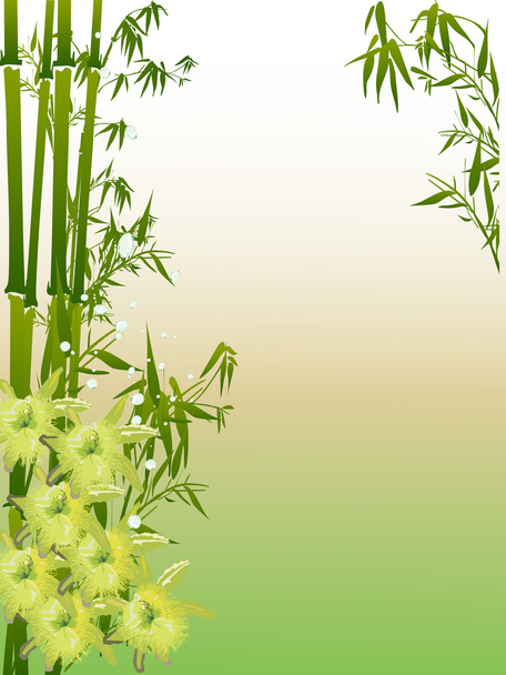 Желтые орхидеи и зелёные бамбуковые иллюстрации
 - Вектор,изображение