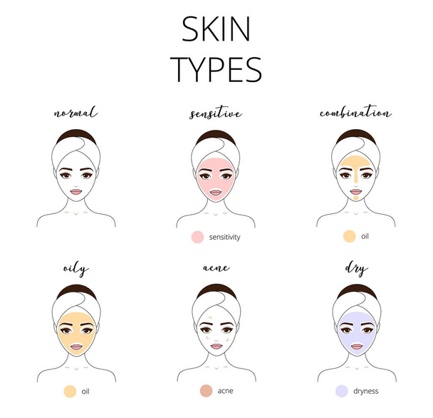 Tipos de pieles de piel, grasas, normales, sensibles, acné, secas, normales y combinadas
. - Vector, Imagen