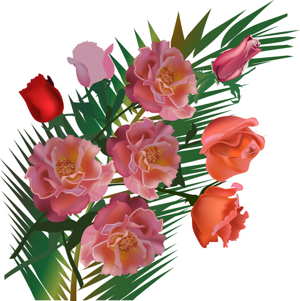 rosa rosa flores y hojas de palmera
 - Vector, imagen