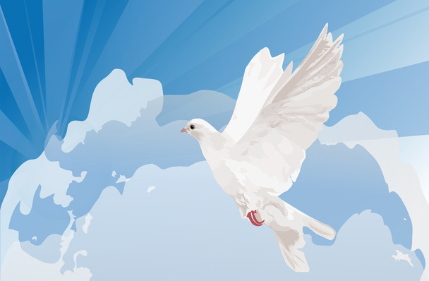 белый голубь в голубом небе с облаками
 - Вектор,изображение
